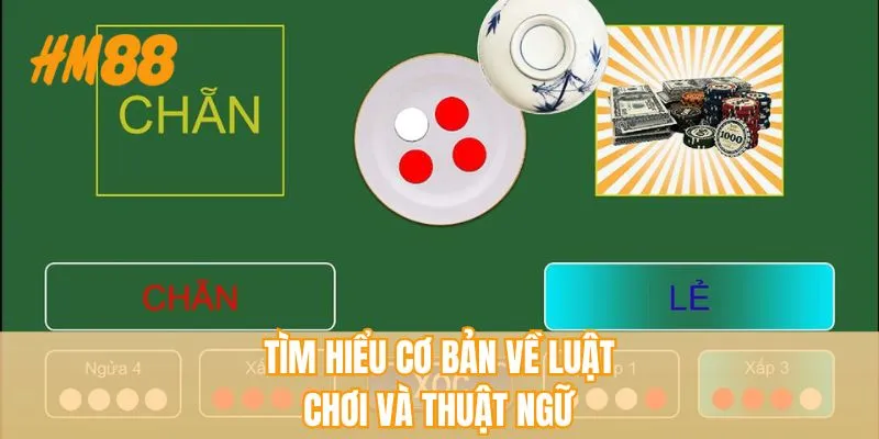 Tìm hiểu cơ bản về luật chơi và thuật ngữ 